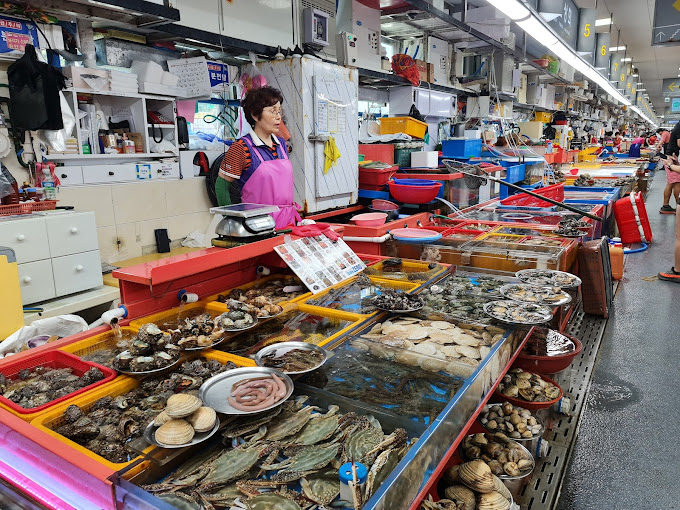 (2025) 3 Top Spots for Tourists in Busan Jagalchi Fish Market Gamcheon Culture Village Haeundae Beach