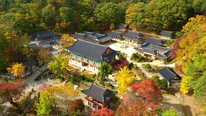 (2025) Temple Stay in Korea: Best Places to Stay in Gyeonggi-do Yongjusa Temple Stay Bongseonsa Temple Stay Myogaksa Temple Stay