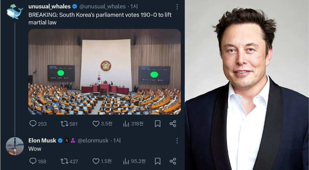 South Korea's Martial Law Crisis Draws Global Reactions | Musk Says "Wow"