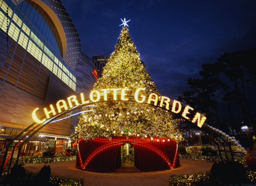 Best Christmas Spots in Korea | Top 3 Must-Visit Locations